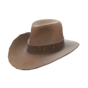 Strange Unusual Hat with No Name
